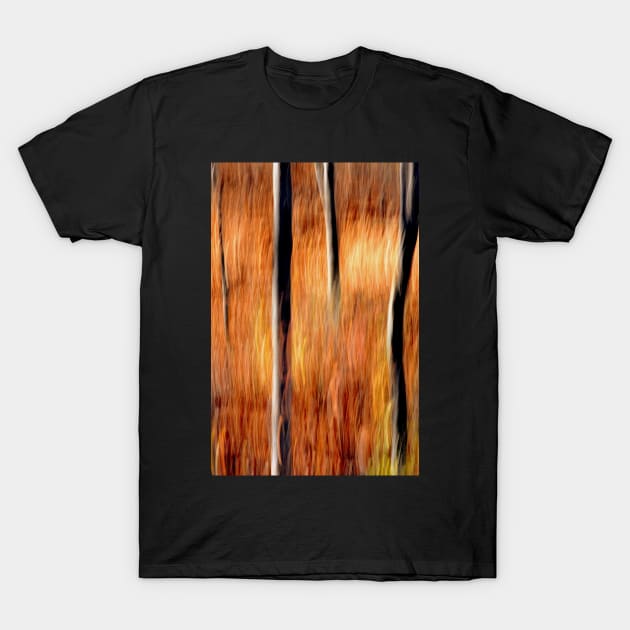 Autumn Abstract #2 T-Shirt by LaurieMinor